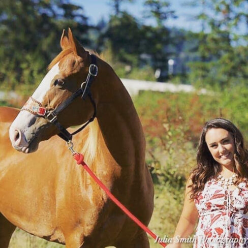Pole Barn, Pole Building, Locke Buildings, Multi-purpose Buildings, Customized Buildings, Design-to-order Buildings, Horse Arena, Tractor Storage, Commercial Warehouses, Animal Shelters, Shop Buildings